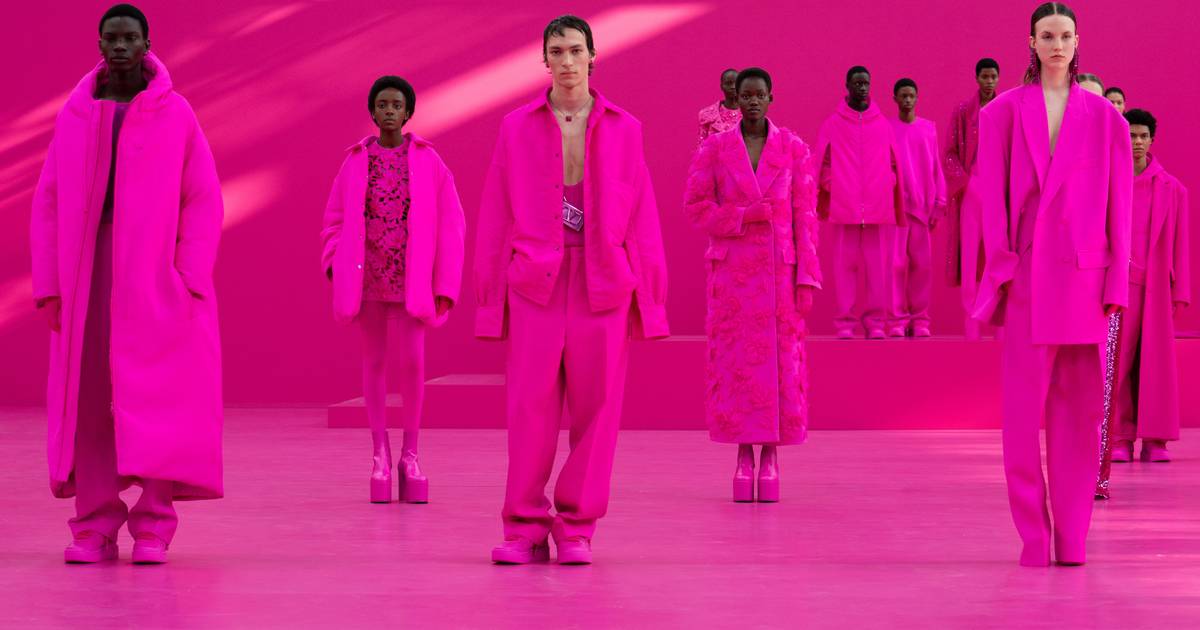 pantone pink pp valentino