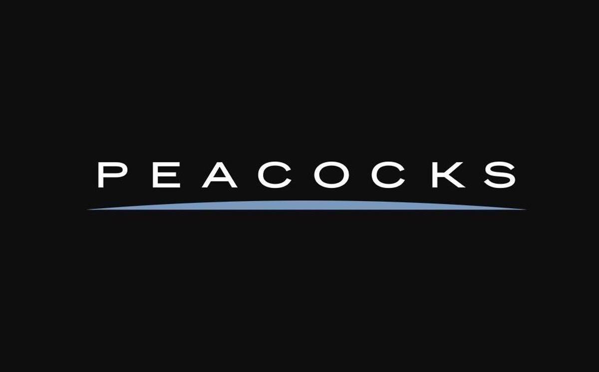 peacocks clothing uk