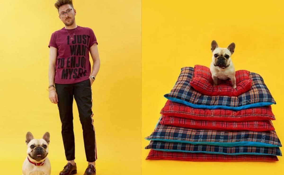 Like Cats And Dogs Canine Couture And Feline Fashion Are Very Much En Vogue