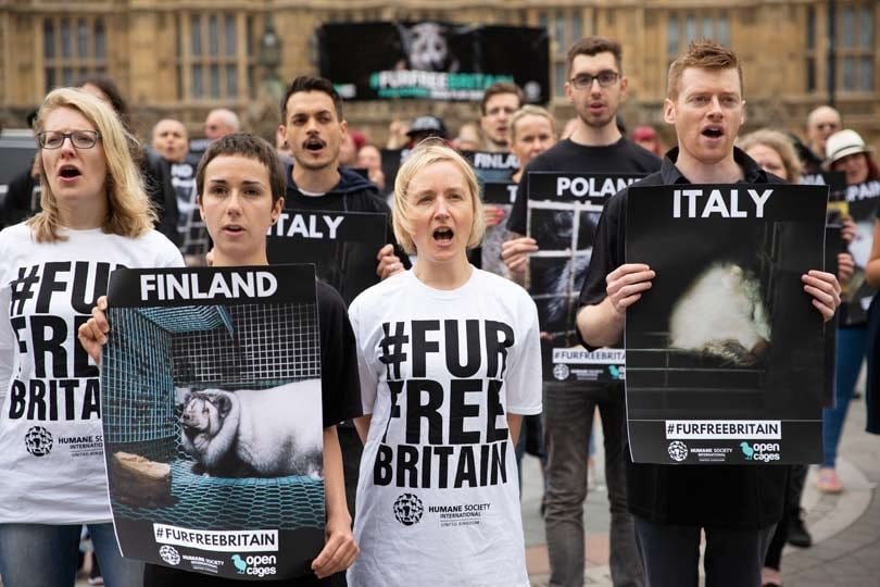 MPs push for UK ban of fur imports during landmark debate